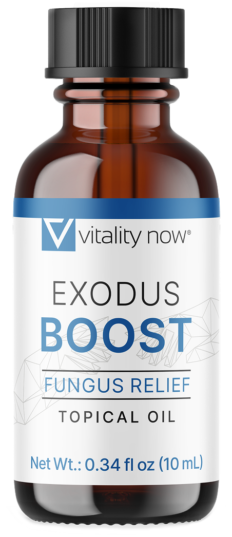 Exodus Boost