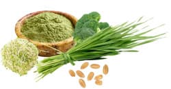 Greens Blend