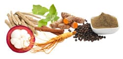 Metabolic Support Blend