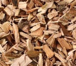 White Willow Bark