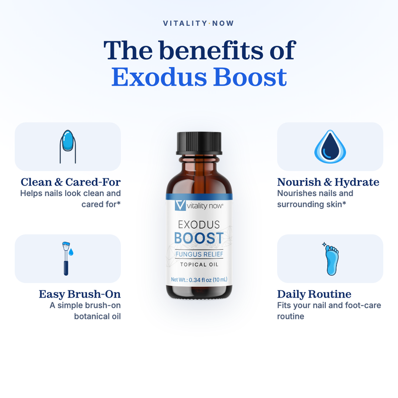 Exodus-Boost image 2