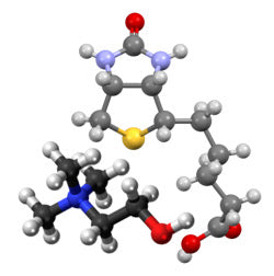 Biotin-Choline Synergy