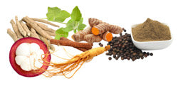 Metabolic Support Blend