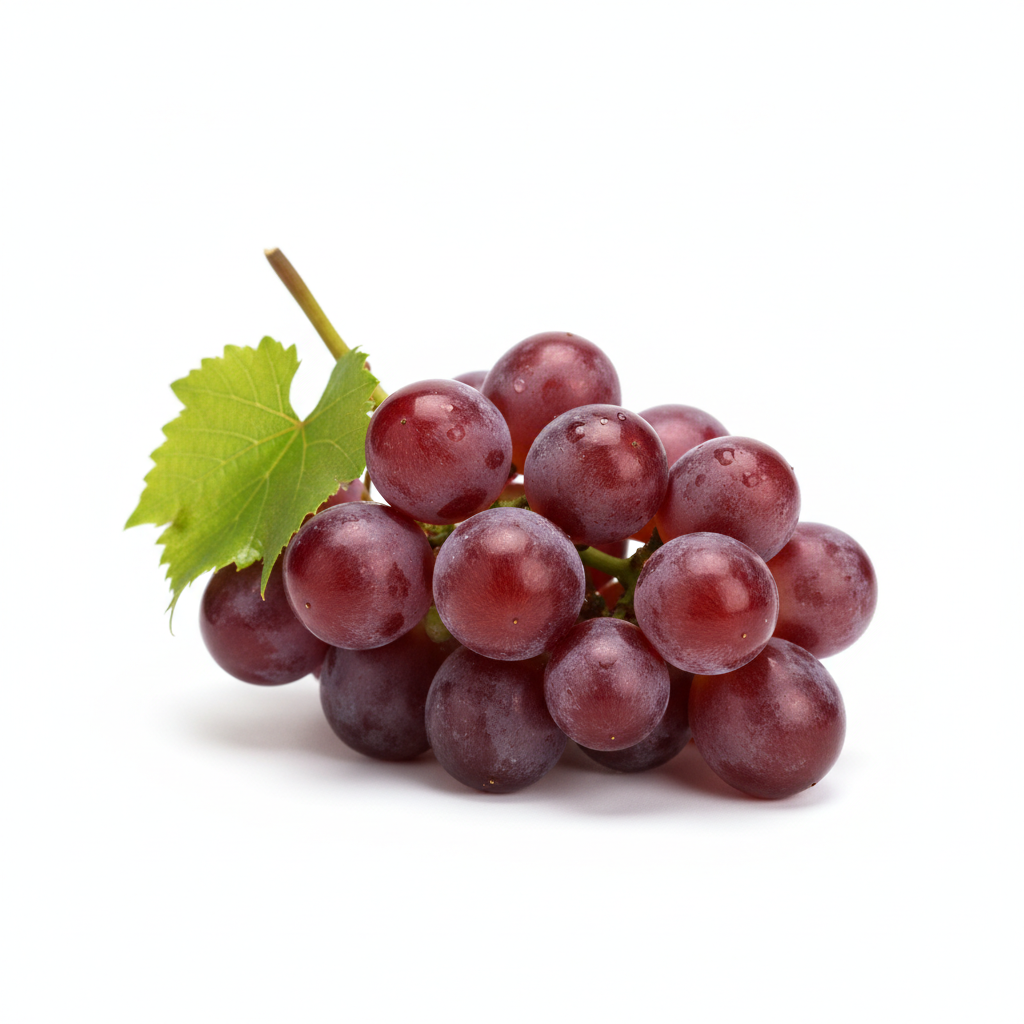 Resveratrol (Polygonum cuspidatum root, 50% resveratrol)